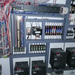 whatsapp image 2021 03 11 at 2.53.22 pm (5)