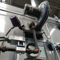 whatsapp image 2021 03 11 at 3.17.28 pm (1)