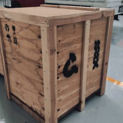 whatsapp image 2026 04 11 at 10.55.35 am (2)