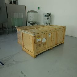 whatsapp image 2026 04 11 at 10.55.35 am (5)